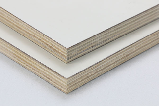 Panel Lori Frp